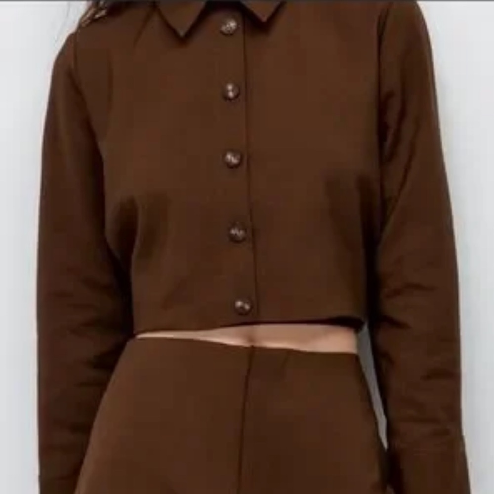 Zara Brown Crop Jacket Button Down Pleated Back Blazer Size M